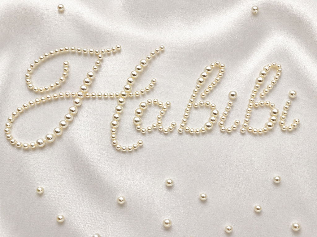 “Habibi” Pearl Bridal Veil